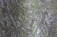 Nunwick fibreglass roof work